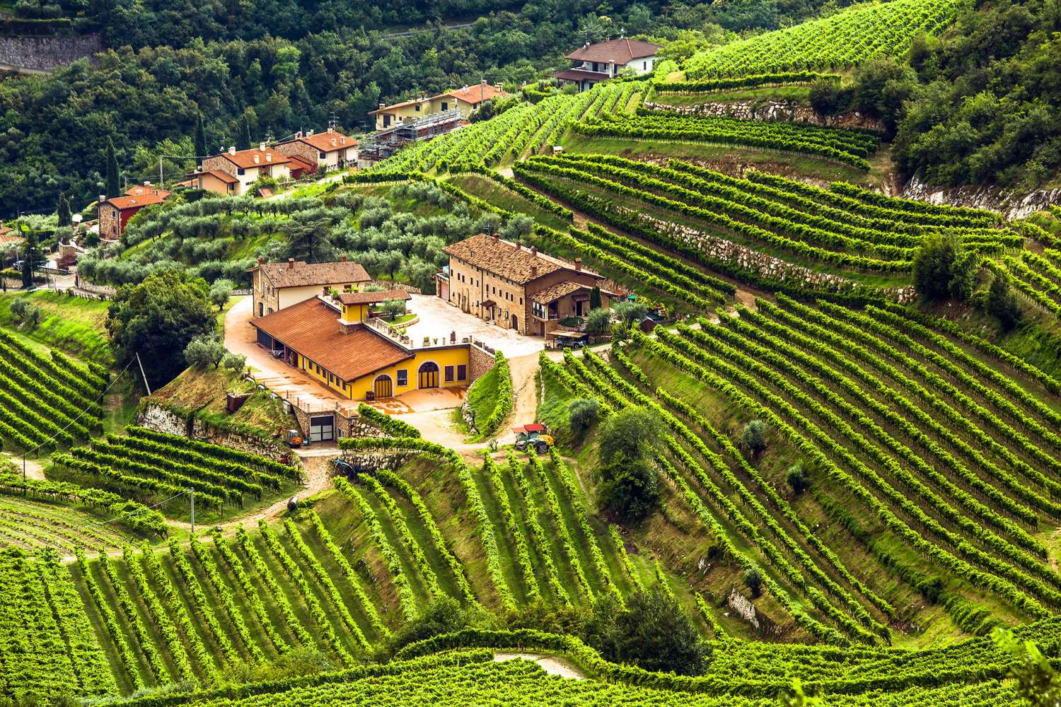 Ausflug nach Valpolicella