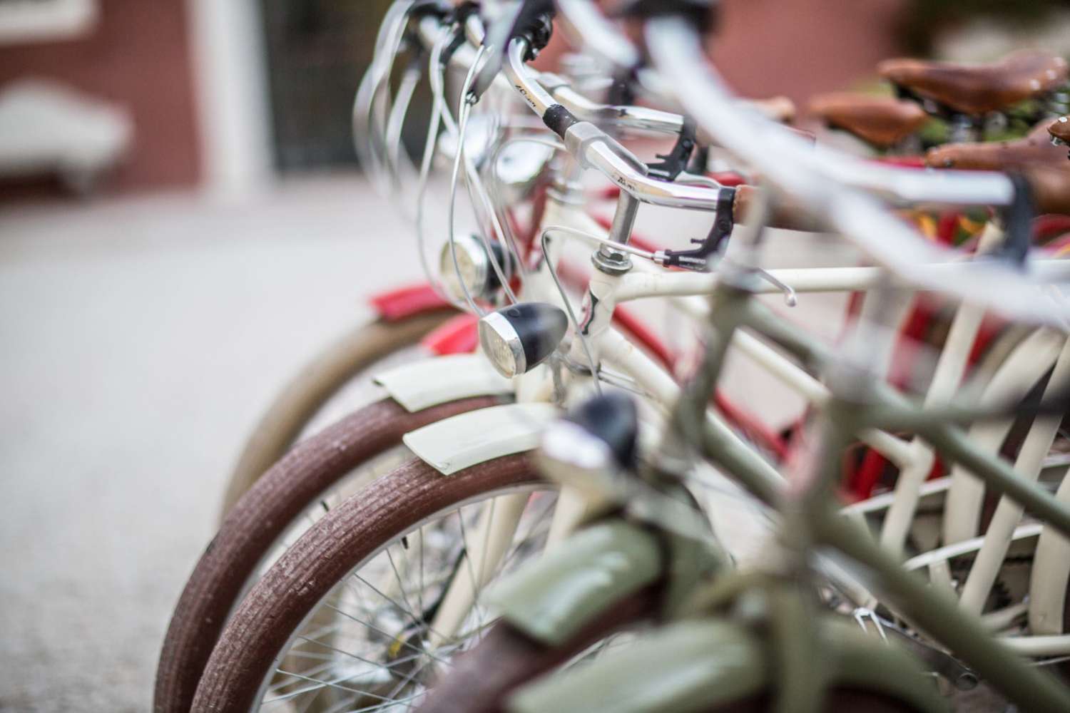 Radtouren oder Wanderungen