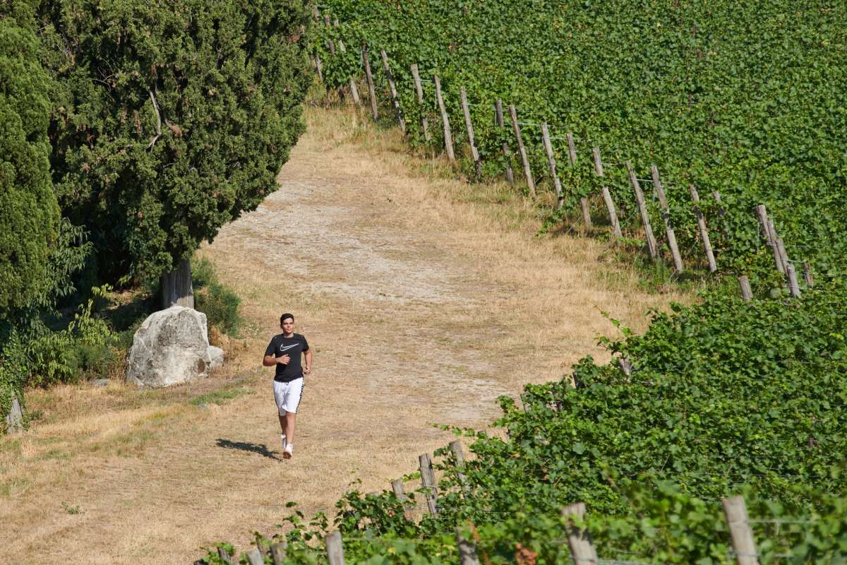 Im Jahr 2021 haben wir unseren 2 km langen Gesundheitspfad für Fussgänger und Fahrradfahrer