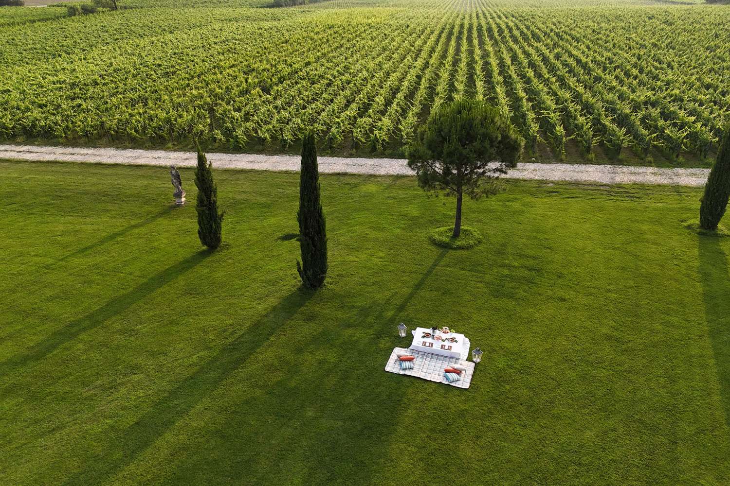 Ein romantisches Erlebnis aus Wein & Natur